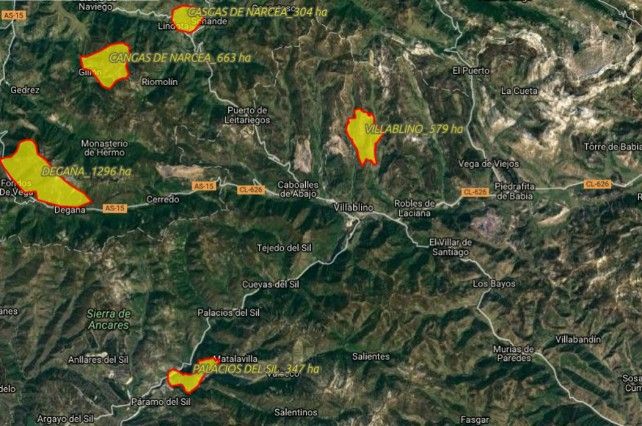 Mapa con el detalle de los siniestros en el norte de León elaborado por @eforestal.