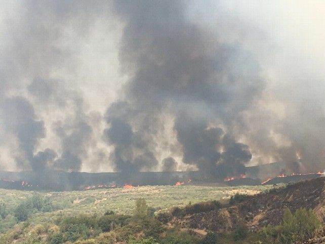 Incendio forestal en La Cabrera. / Foto: @AT_Brif