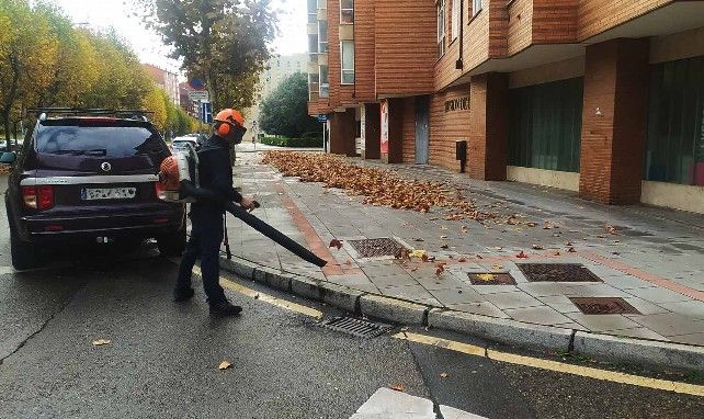 Un operario de León limpia de hojas el suelo en Eras de Renueva. // Uribe