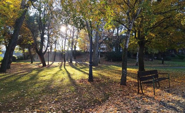 El Parque de Quevedo en otoño, con la característica alfombra de hojas caducas. // Uribe