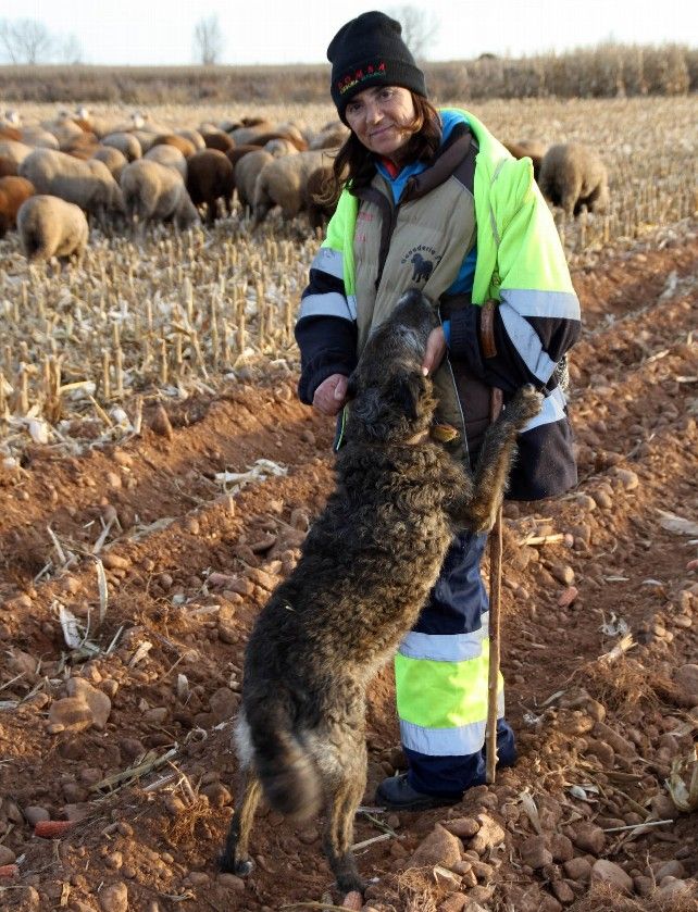 Violeta Alegre Natal, pastora de extensivo con uno de sus perros.